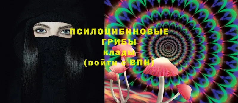 Галлюциногенные грибы Psilocybine cubensis  Адыгейск 